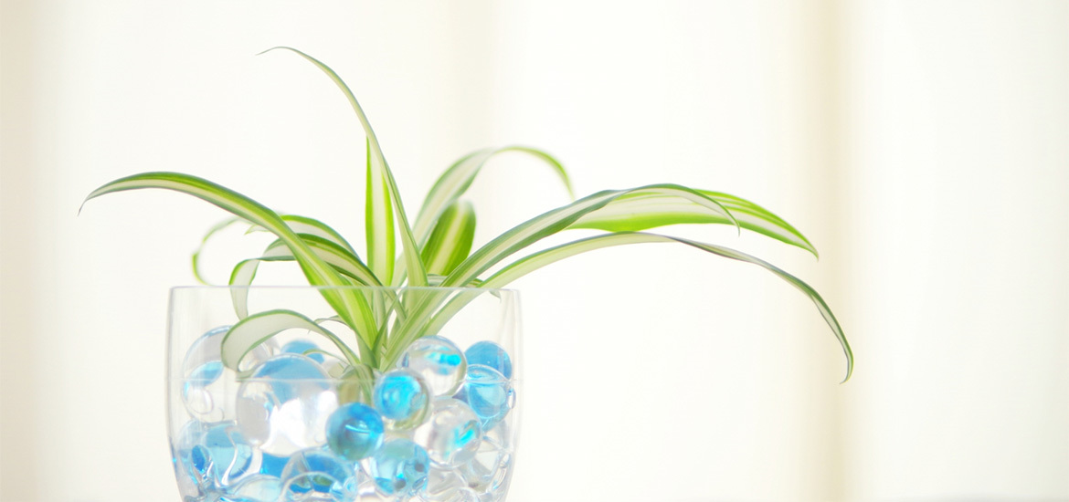 鈴鹿市江島町 白子駅 内科 消化器内科 小児科